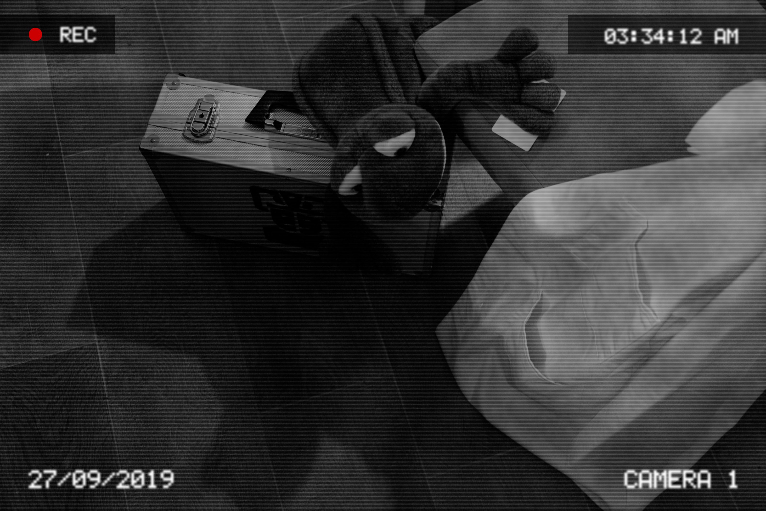 CCTV shows a plushy frog leaning over the case while holding a security access card