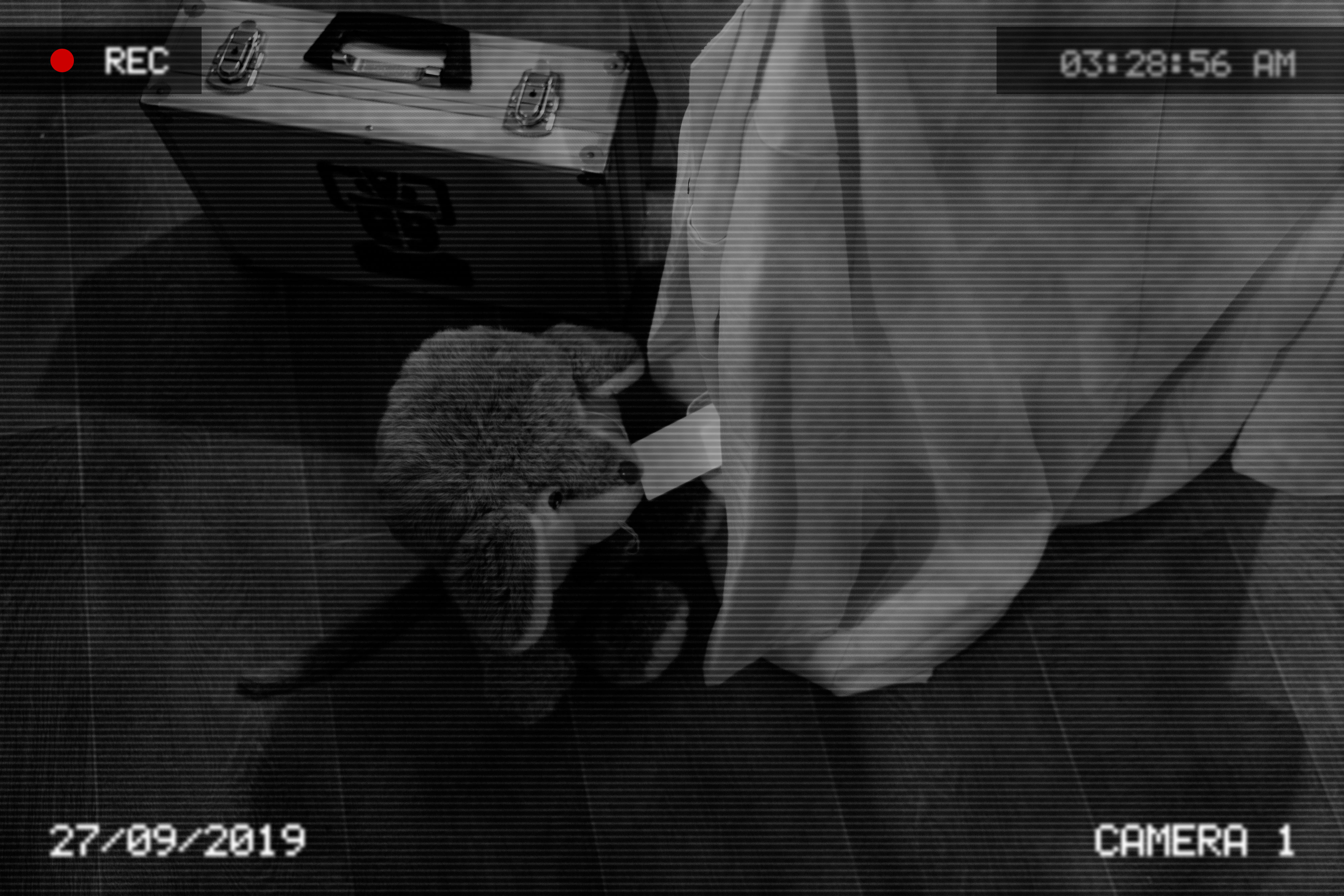 CCTV shows another cuddly toy stealing and RFID access card from the pocket of a lab coat
